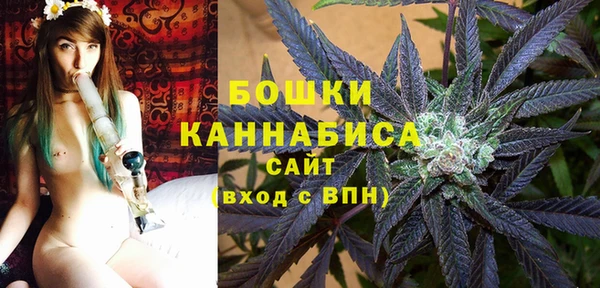 амф Верея
