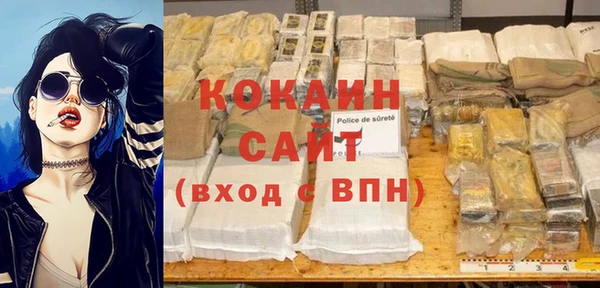 тгк Володарск
